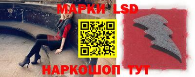 spice Бийск