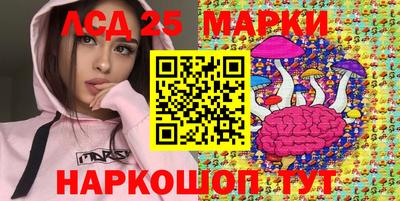 spice Бийск