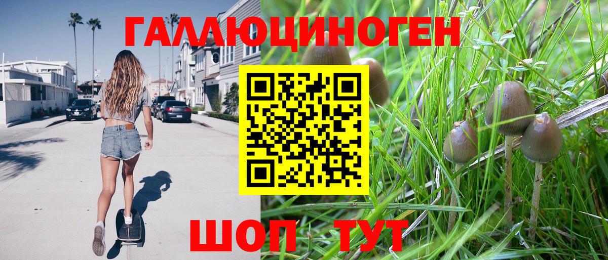 Галлюциногенные грибы прущие грибы  Псилоцибиновые грибы Psilocybe  Борисоглебск  Вход с VPN 
