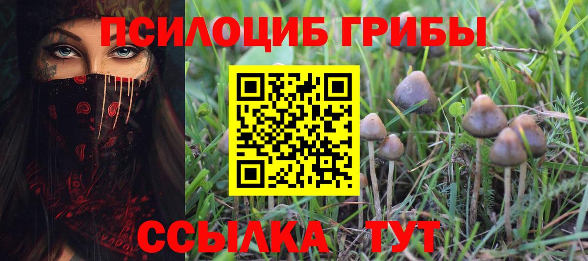Галлюциногенные грибы GOLDEN TEACHER Борисоглебск